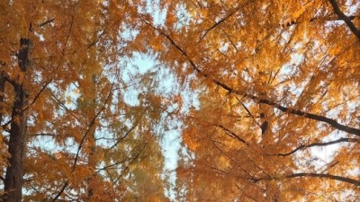 [성강모] 광주여성민우회 성교육강사모임 ‘성강모’ 소풍